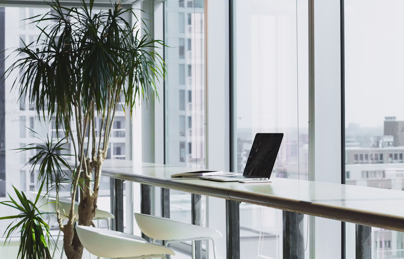 Ясность онлайн в Красноярск